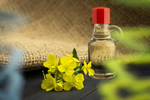 Small sprig of vivid yellow rapeseed flowers with decanter of oil alongside hessian sack fabric with copy space