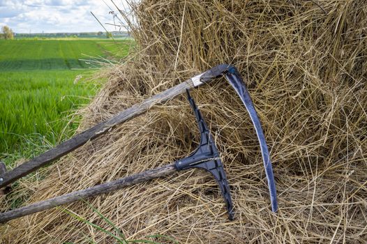 Rake and scythe on dried straw in an agricultural field in spring viewed in close up on the tools