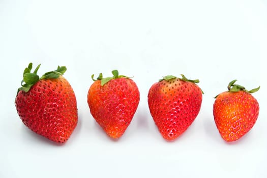 Red Strawberry  Isolated on White Background