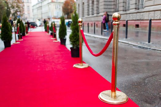 Event party.Red carpet between rope barriers in the success party.