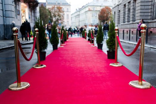 Event party.Red carpet between rope barriers in the success party.