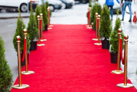 Long red carpet between rope barriers on entrance.