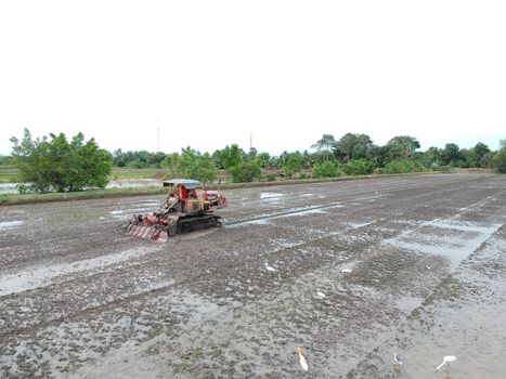 Tractor works in rice fields in the Asian region,Aerial view