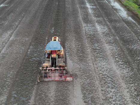 The tractor works in the rice field.Aerial view