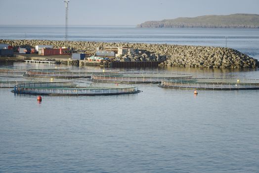 Fish Farm In Northern Norway