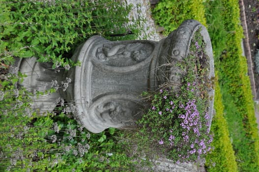 Ornatae garden planter filled with tiny spring flowers