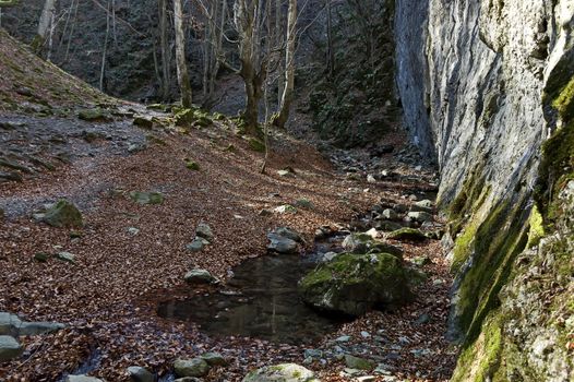 Autumn walk through the maze of Teteven Balkan with high peaks and mossy steep cliff, Stara Planina, Bulgaria