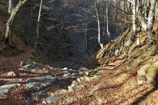 Autumn walk through the labyrinth of the Teteven Balkan with high peaks and river, Stara Planina, Bulgaria