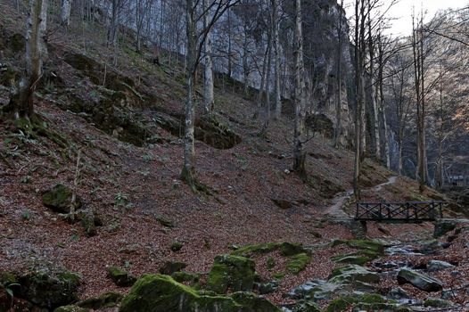 Autumn walk through the labyrinth of the Teteven Balkan with high peaks, river, bridge and waterfall, Stara Planina, Bulgaria