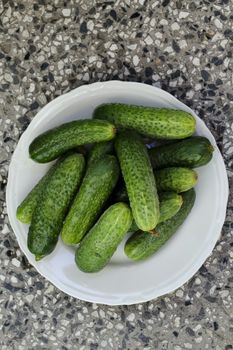 A stack of several fresh green cucumber gherkins in a plate, Sofia, Bulgaria