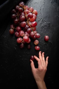 Woman hand holding a grape from a bunch of red grapes top view on dark background. Dark mood. Low key