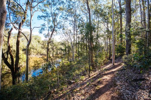 Lake Mummuga walk from Bodalla Park Rest Area near Narooma in New South Wales, Australia