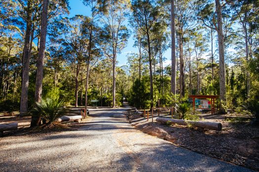Lake Mummuga walk from Bodalla Park Rest Area near Narooma in New South Wales, Australia