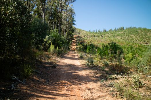 The popular Bright mountain bike park in Victoria, Australia