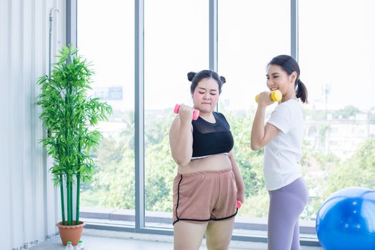 two Asian woman exercising with dumbbell at home