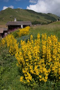 le chinaillon,grand bornand,haute savoie,france