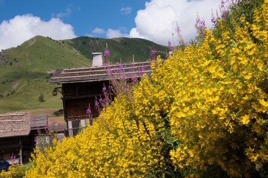 le chinaillon,grand bornand,haute savoie,france