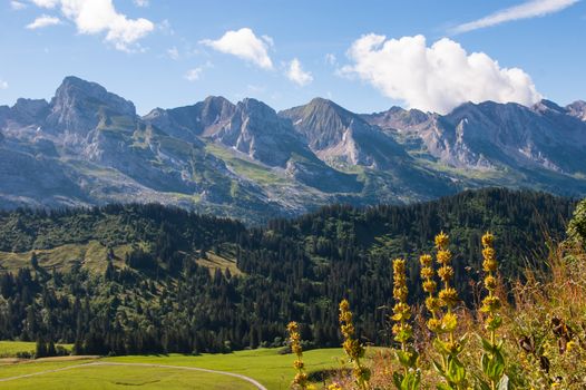 col ds annes,le chinaillon,grand bornand,haute savoie,france