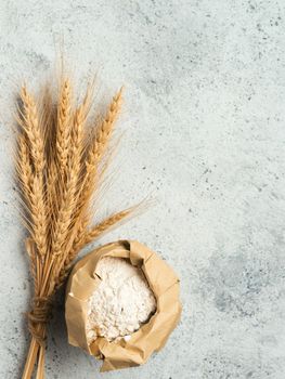 Wheat flour in paper bag and spikes over gray cement background. Food and baking ingredient - all-purpose flour with copy space, vertical