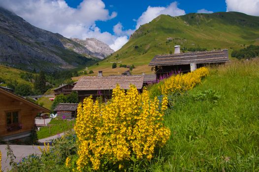 le chinaillon,grand bornand,haute savoie,france
