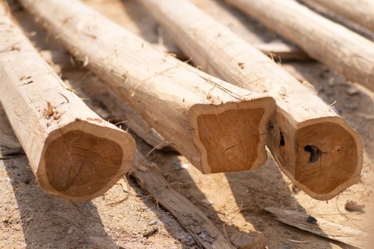 Large stack of wood planks, teak wood