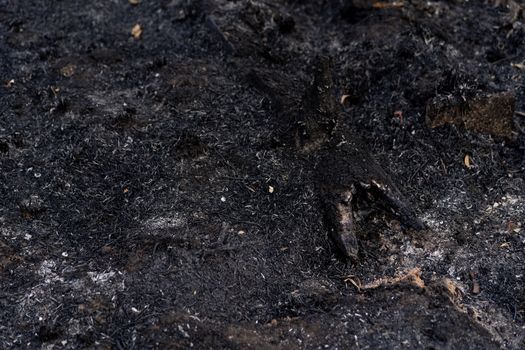 Fire destruction