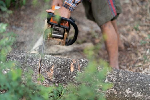 A close-up picture of an electric wood saw