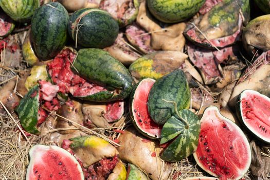 Rot watermelon