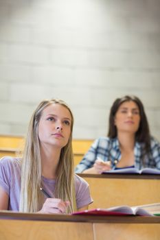 Students sitting beside each other while learning in university