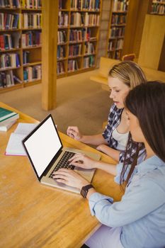 Serious students using laptop in library 