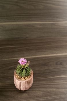 Vertical image of a cactus with pink flowers in the bottom right corner on a wooden background