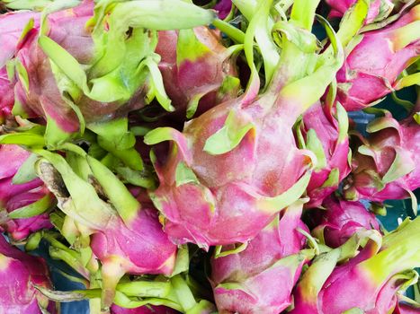 Dragon fruit on market Thailand