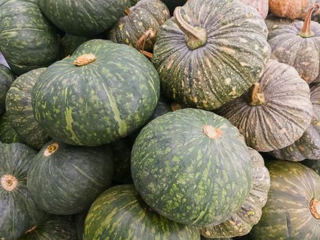 pumpkin at market