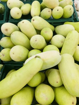 Benincasa hispida in market