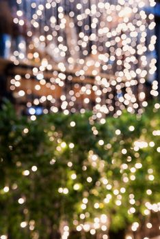 Green and light Bokea