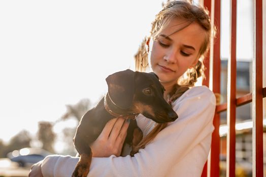 Pet care concept. Young woman holding her dachshund dog in her arms outdoors in sunset. Focus on dog
