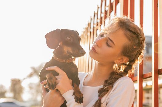Pet care concept. Young woman holding her dachshund dog in her arms outdoors in sunset. Focus on woman face
