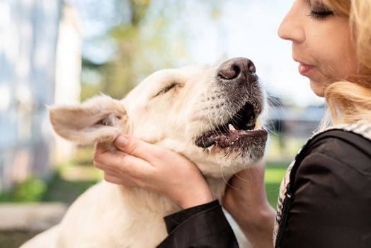 Pet care concept. Blond caucasian woman hugging her golden retriever dog outdoors