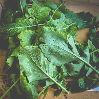 nabicas leaf - traditional portuguese cabbage in a wooden crate