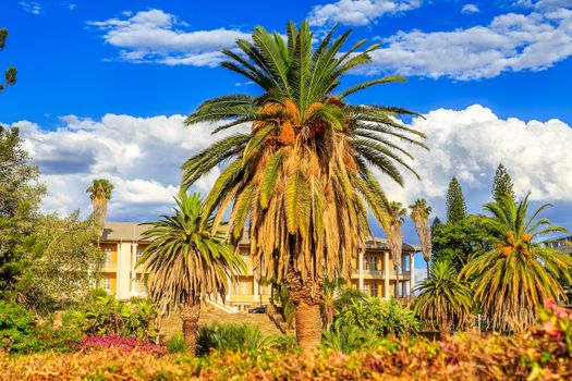 Park and garden with yellow palace building hidden behind tall palms, Windhoek, Namibia