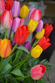 Beautiful spring tulip floral arrangement on display