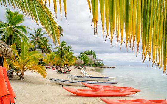 Tropical paradise beach in Moorea, French Polynesia