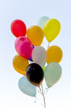Colorful bunch of helium balloons isolated on background