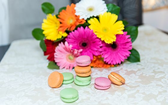 Colorful mix of macarons with a background of gerbers for decoration