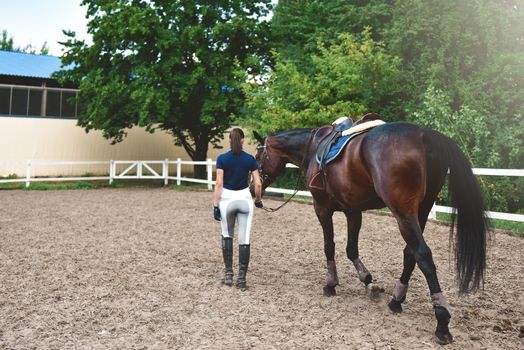 Young woman leads her horse to training and preparing it for the races