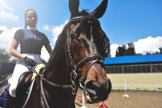 young girl jockey trains horse to horse racing at summer. equestrian