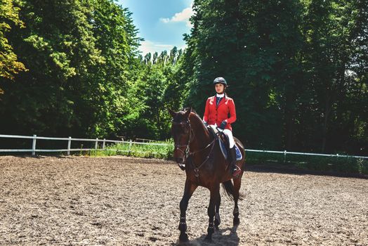 Young pretty jockey girl preparing horse for ride. love horses