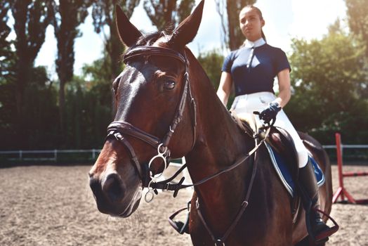 Portrait Jockey girl next to a horse, riding, concept of advertising an equestrian club, preparing for jumps. Summer.