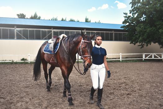 Young woman leads her horse to training and preparing it for the races