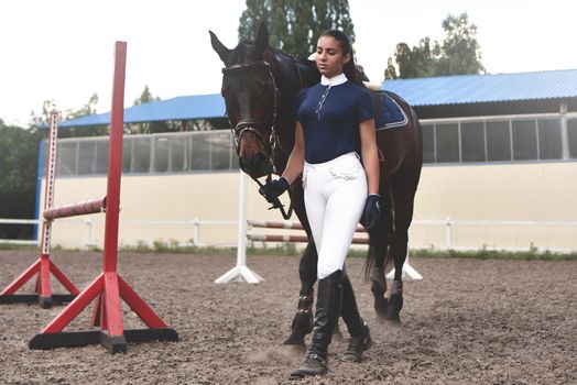 Young woman leads her horse to training and preparing it for the races